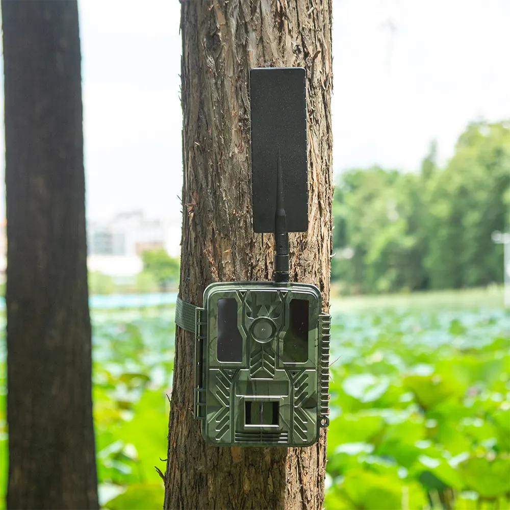Hunting Trail Camera